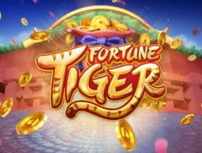 freebet vaidebet